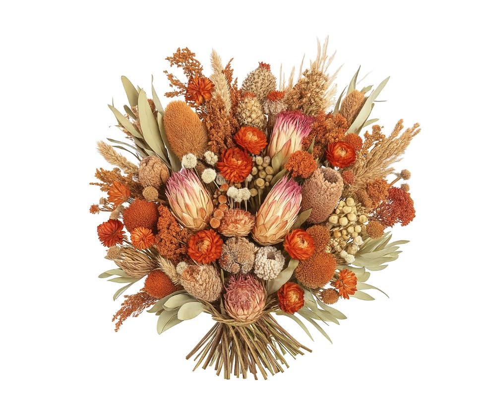 30 STK edel Exoten Protea pink rosa Natur braun o270 Naturdeko Trockendeko Gesteck Dekomaterial Herbstdeko Allerheiligen Weihnachtsdeko Blumen Trockenblumen Trauerfloristik Rosen Palmspeer