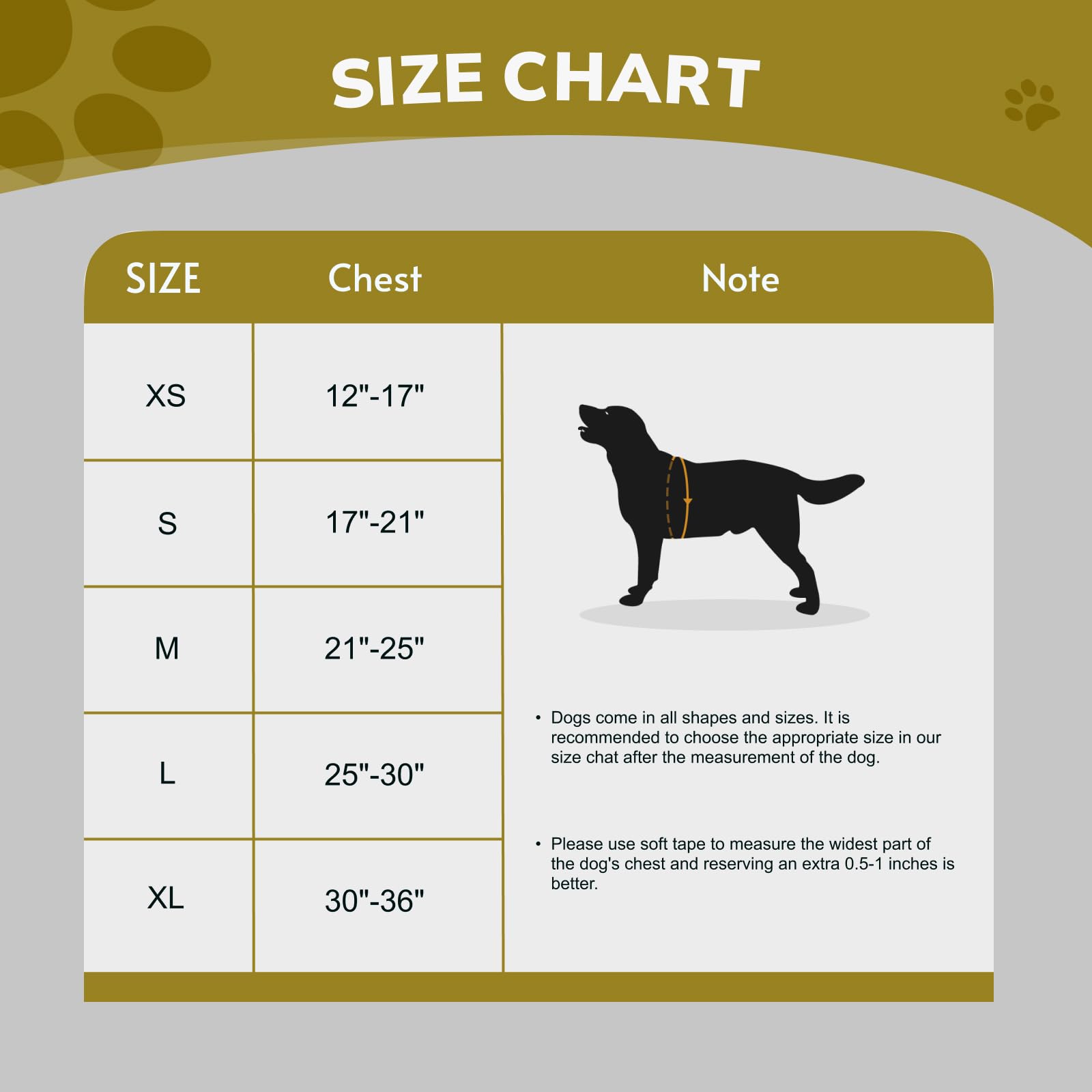 FAYOGOO Pettorina Cane, Pettorina Cane Taglia Media Regolabile, Traspirante Pettorina Cane Taglia Grande con Guinzaglio, Pettorina Antifuga Cane per la Corsa, Passeggiate, Jogging (Viola, M)