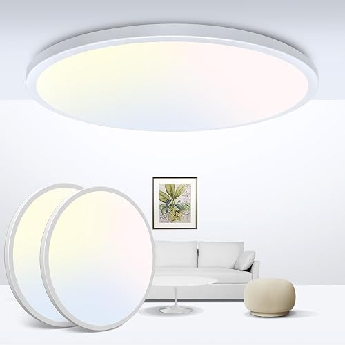 zemty LED Ceiling Light 9Inch - 24W 2400LM Small Led Lighting Fixture for Ceiling, 3000K-4500K-6000K Selectable, Super Thin & Low-Profile Flat Ceiling Lamp for Bedroom Kitchen Bathroom - 2Pack