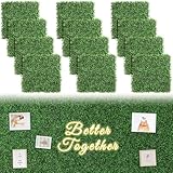 Luyue 12PCS 20”×20”...