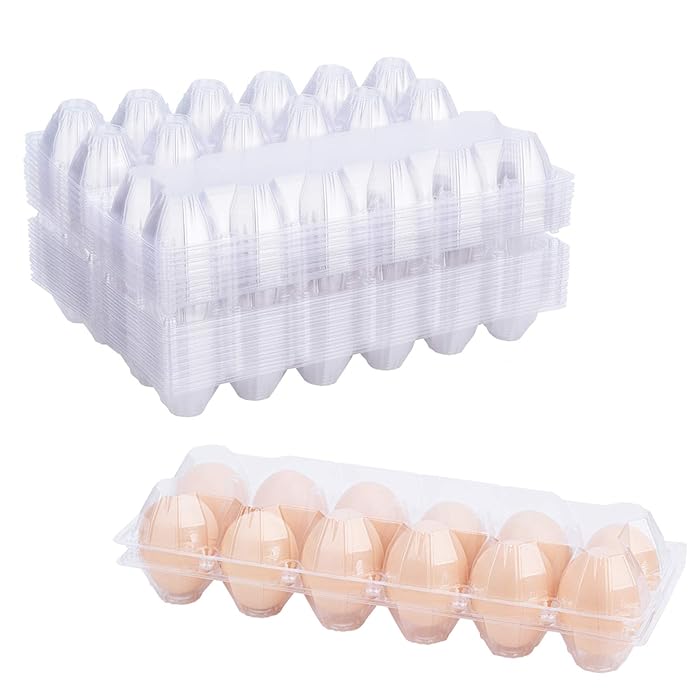 Buy Toplife 20 Pack of Egg Cartons, Clear Plastic EcoFriendly Egg