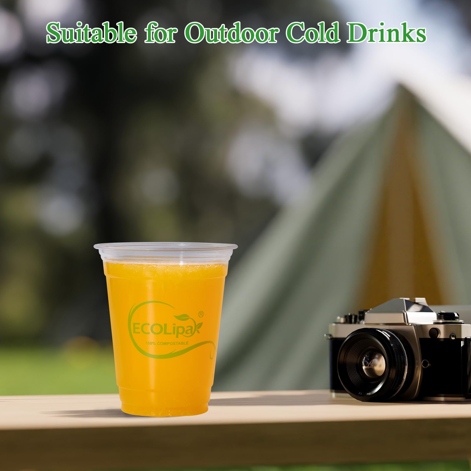 Snapklik.com : 1000 Count 12 OZ Clear Compostable Plastic Cups ...