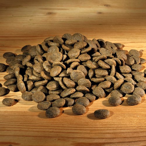 Happy Dog 03523 - Sensible Karibik Seefisch - Hunde-Trockenfutter für ausgewachsene Hunde - 1 kg Inhalt