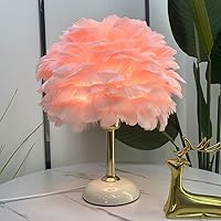 Vista 1 de Meefad Lámpara de noche de plumas, luz nocturna LED moderna con base de cerámica, lámpara de mesa rosa para dormitorio