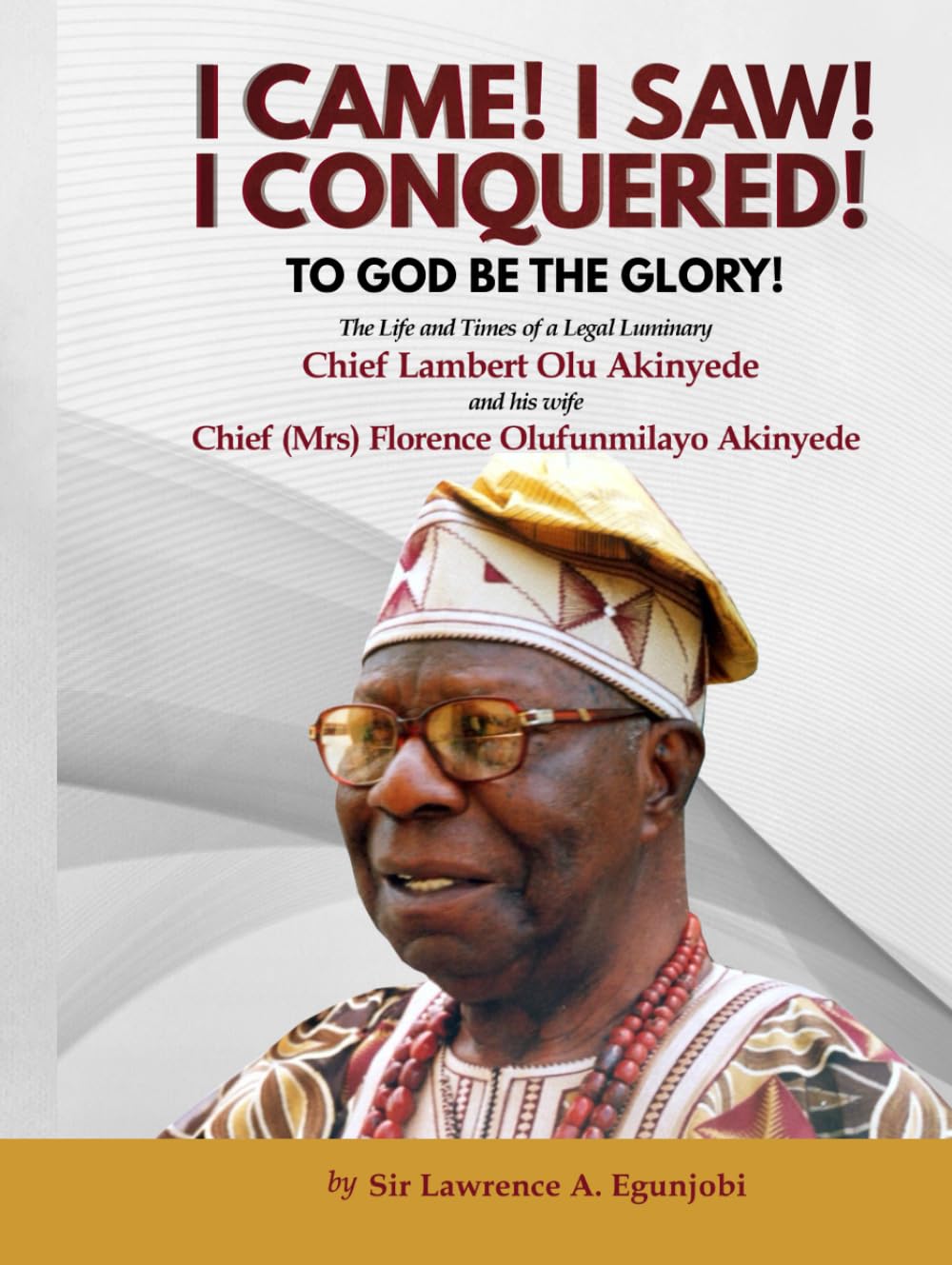 I CAME! I SAW! I CONQUERED!: The Life and Times of a Legal Luminary