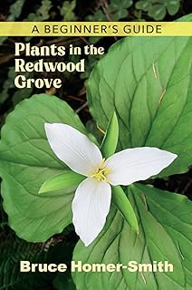 Plants in the Redwood Grove: A Beginner's Guide