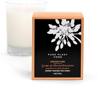 Gift Box Aromatherapy Candles Coconut Wax with Real Essential Oil 6 Ounce (Ginger & Vanilla Planifolia)