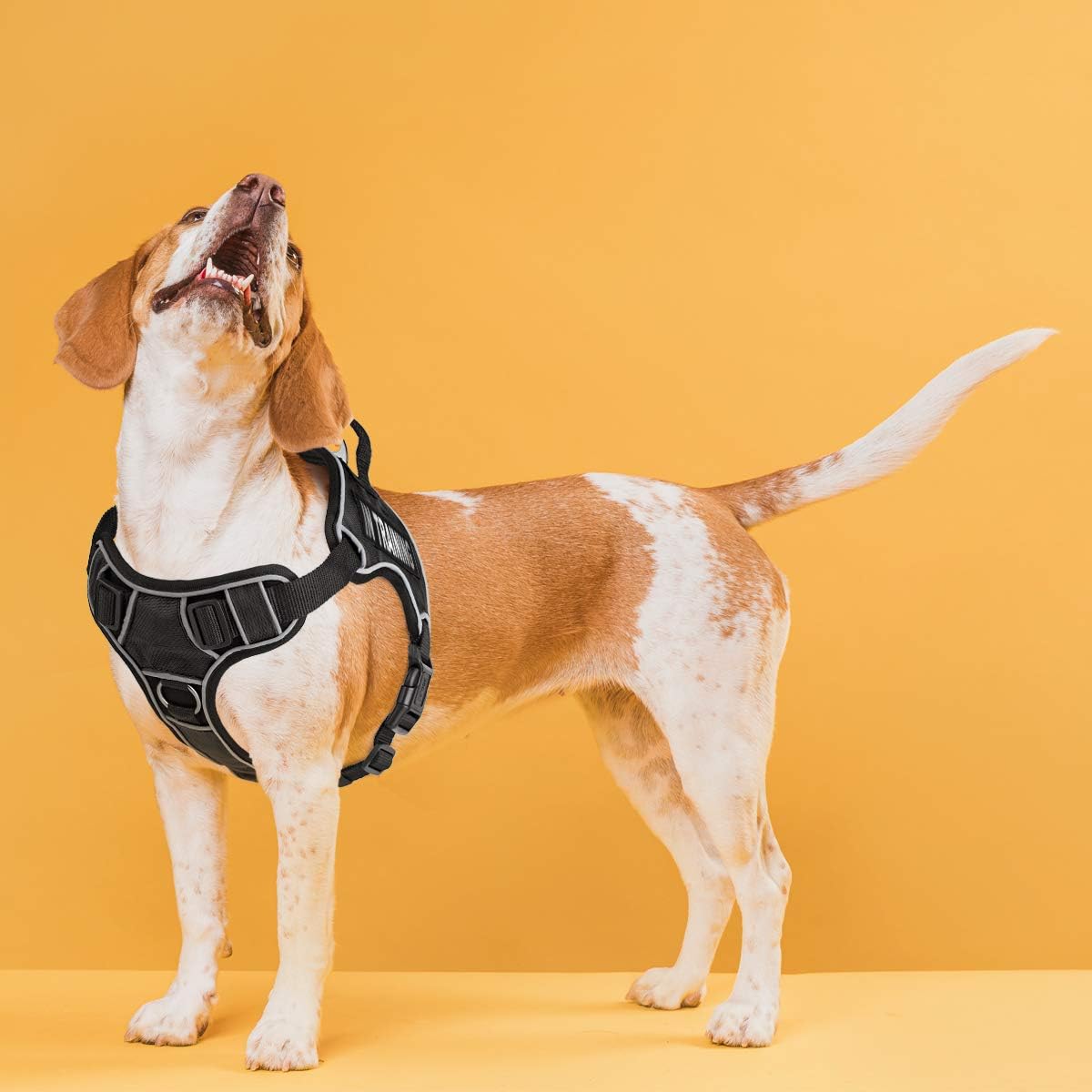 Dogline Quest No-Pull Dog Harness with in Training Reflective Removable Patches Soft Comfortable Dog Vest with Quick Release Dual Buckles Black Hardware and Handle 32 to 40 inches Black