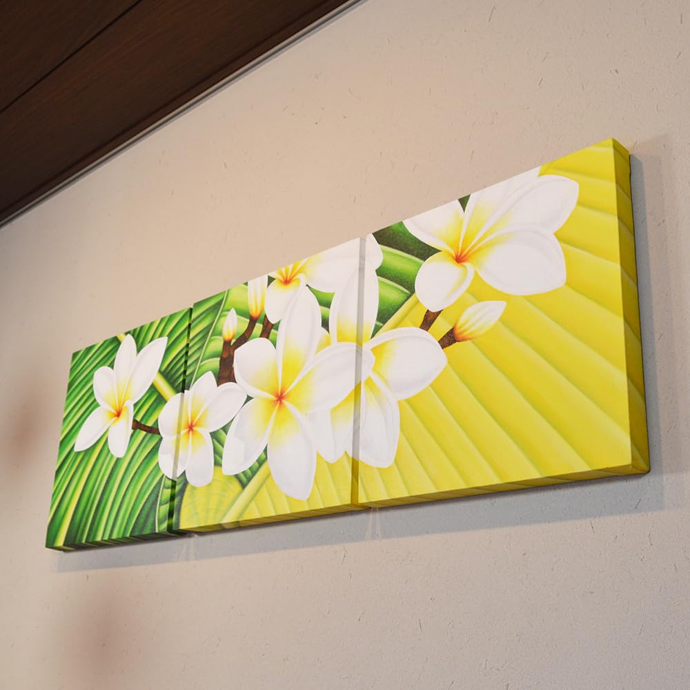 Amazon.co.jp: バリ 絵画 3枚セット 花の絵 3連 インテリア 花