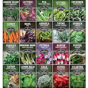 Indoorgardenvegetableshydroponicapartmentgardennongmoheirloomvegetablevarietiesforsmallspacepatiogardenhydroponicsfriendlyplantindoorsoroutdoorssurvivalgardenseeds Urban Country Home Decor Indoor garden vegetables hydroponic apartment garden non gmo heirloom vegetable varieties for small space patio garden hydroponics friendly plant indoors or outdoors survival garden seeds urban country home decor