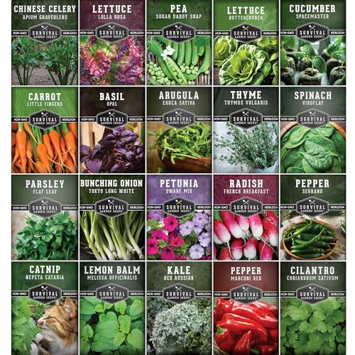 Indoorgardenvegetableshydroponicapartmentgardennongmoheirloomvegetablevarietiesforsmallspacepatiogardenhydroponicsfriendlyplantindoorsoroutdoorssurvivalgardenseeds Urban Country Home Decor Indoor garden vegetables hydroponic apartment garden non gmo heirloom vegetable varieties for small space patio garden hydroponics friendly plant indoors or outdoors survival garden seeds urban country home decor