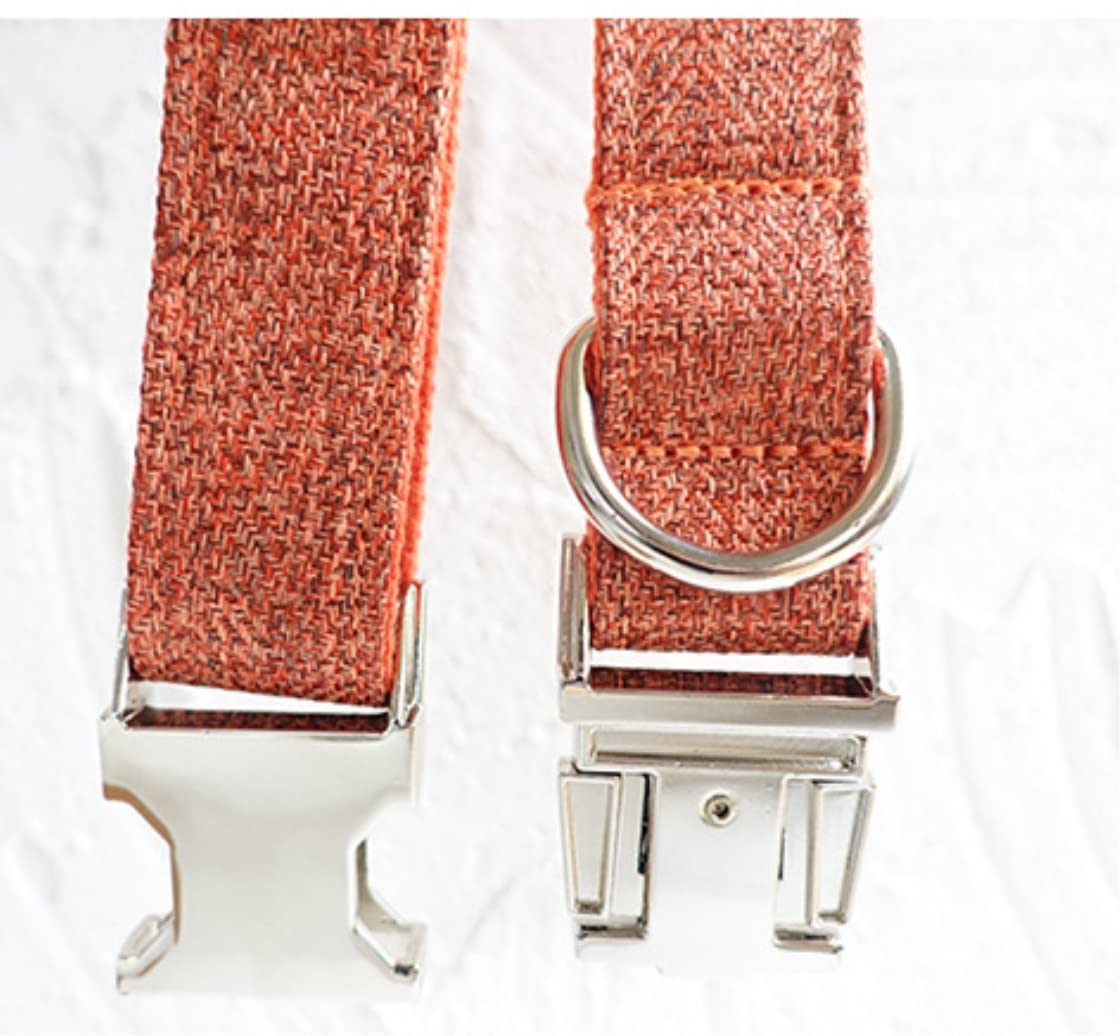 Correa Perro Correr Traje Pajarita Collar De Perro Grabado Personalizado Collares Nylon para Niña Niño Perros Correa Ajustable Antideslizantes Reforzada(31-41cm)