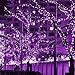 Twinkle Star 200 LED 66FT Halloween Fairy String Lights, Halloween Decoration Lights with 8 Lighting Modes, Mini String Lights Plug in for Indoor Outdoor Christmas Tree Decor, Purple