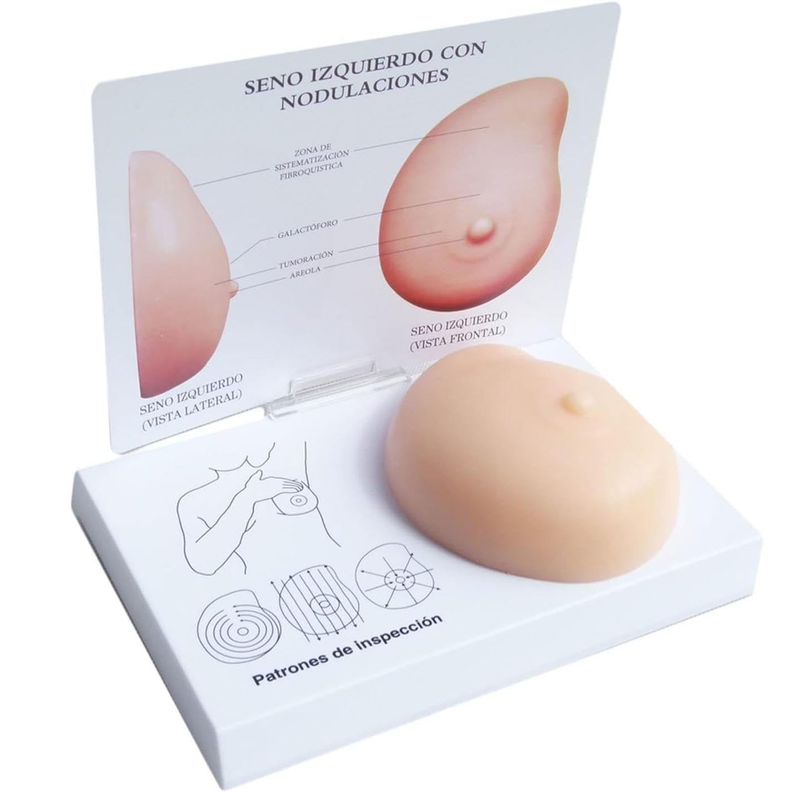 Poitrine en silicone AMITD pour expliquer le cancer du sein