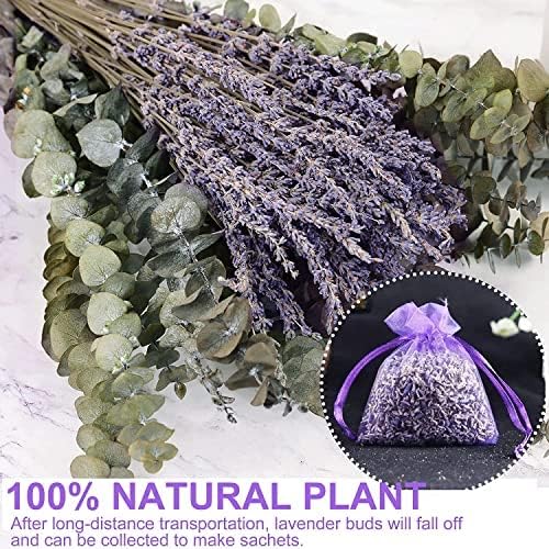 120 pcs Large Dried Eucalyptus with Lavender , 100% Natural Dried Eucalyptus Lavender, Eucalyptus Branches Lavender for Shower, Decor(17'' Tall)