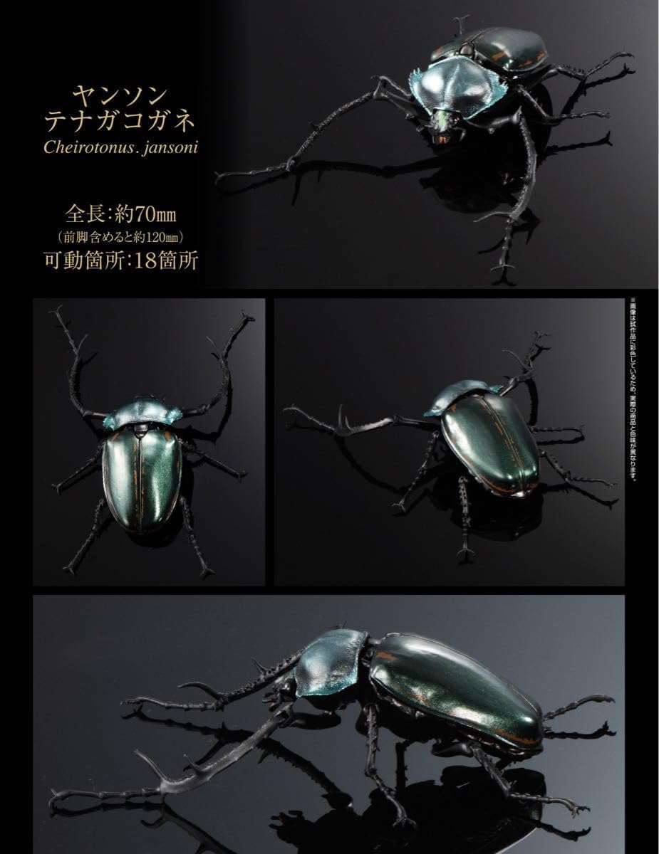 テナガコガネ　フィギュア Amazon.co.jp: ヤンソンテナガコガネ いきもの大図鑑かぶとむし