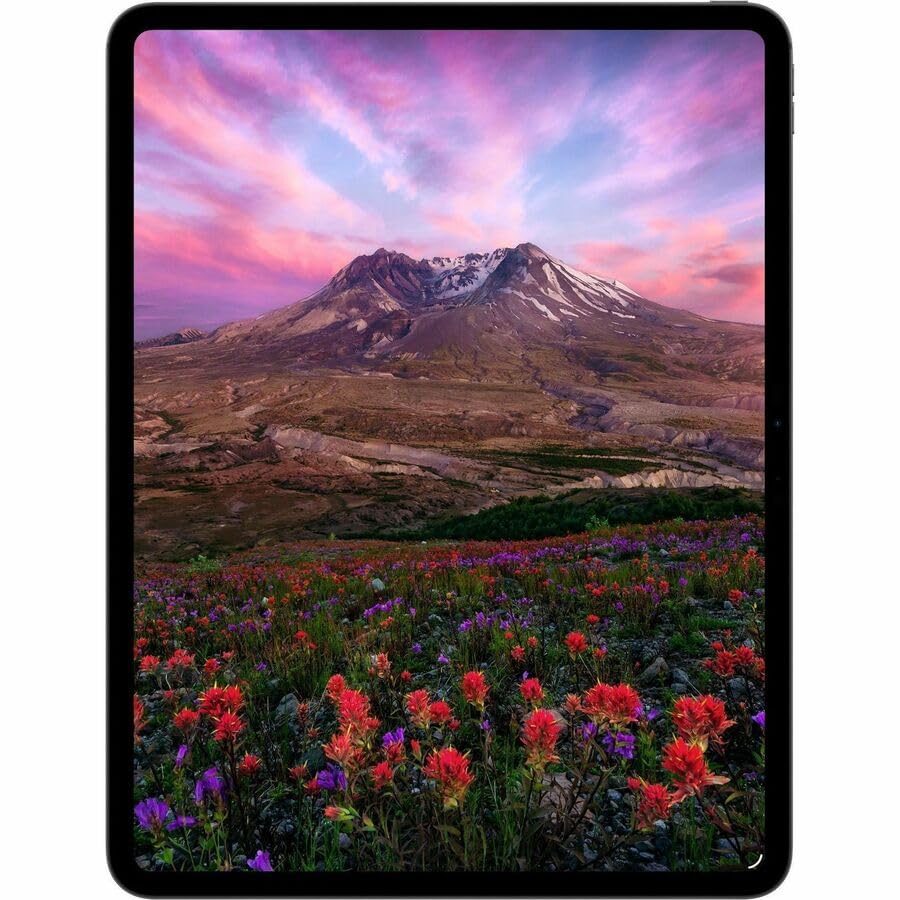 Apple iPad Pro 11-inch (M5): Ultra Retina XDR Display, 256GB, 12MP Front/Back Camera, LiDAR Scanner, Wi-Fi 7 with Apple N1 + 5G Cellular with C1X chip, Face ID, All-Day Battery Life — Space Black