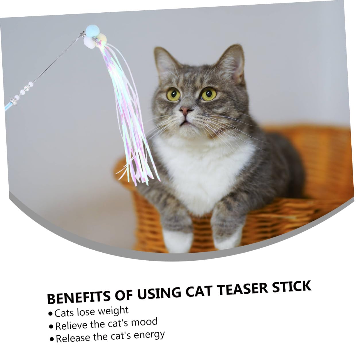 DOITOOL 9piezas Juguetes Interactivos para Gatos Pack Cat Teaser Diseño y Divertido Material para Mantener Tu Gato y Feliz