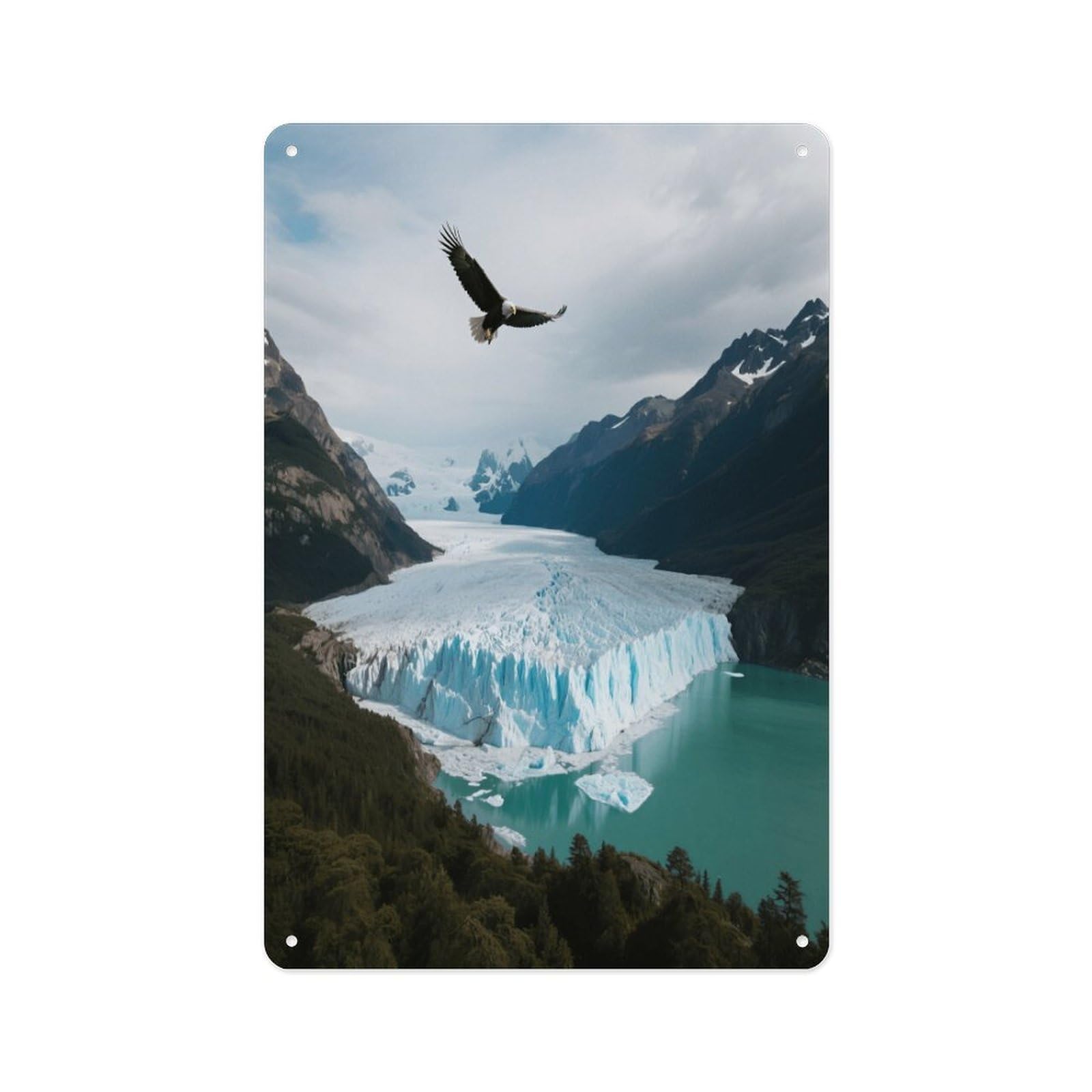 Fekiloot Style Glaciers And Lakes Wall Decor Metal Signs Tin Signs Poster