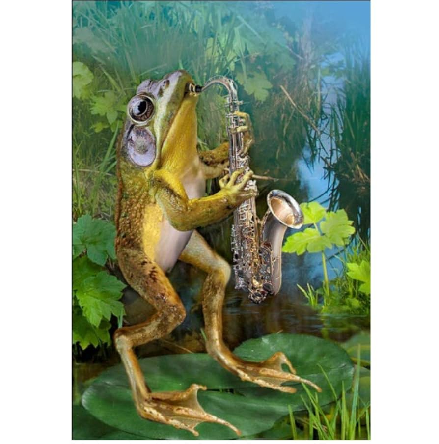 Amazon | ダイヤモンドモザイクフルダイヤモンド刺繍カエル