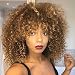 Mildiso Short Wigs for Black Women Afro Curly Wig Kinky Wigs African American Hair Wig Heat Resistant with Wig Cap M022