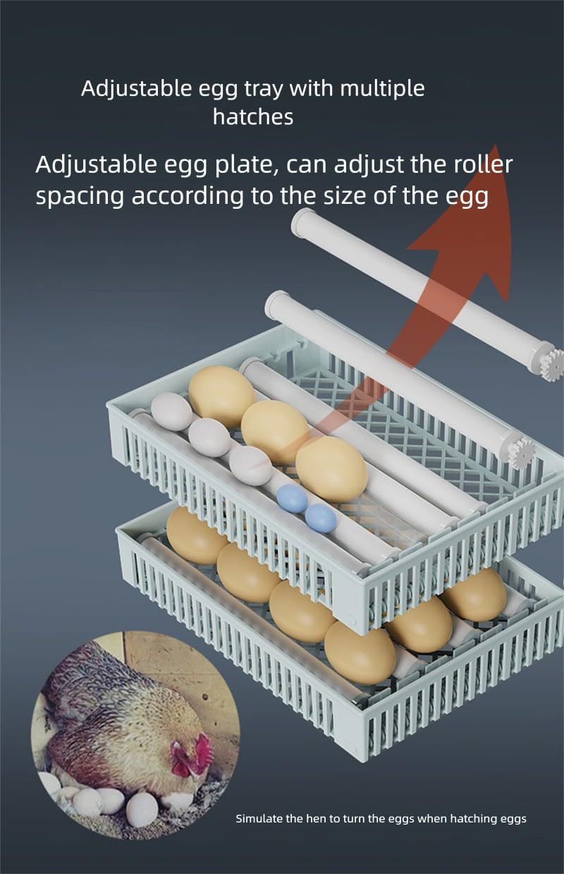 Incubadora digital de huevos con pantalla LCD, capacidad de 24 huevos, control de temperatura, múltiples modos de eclosión de doble capa para pollos, patos, gansos y palomas