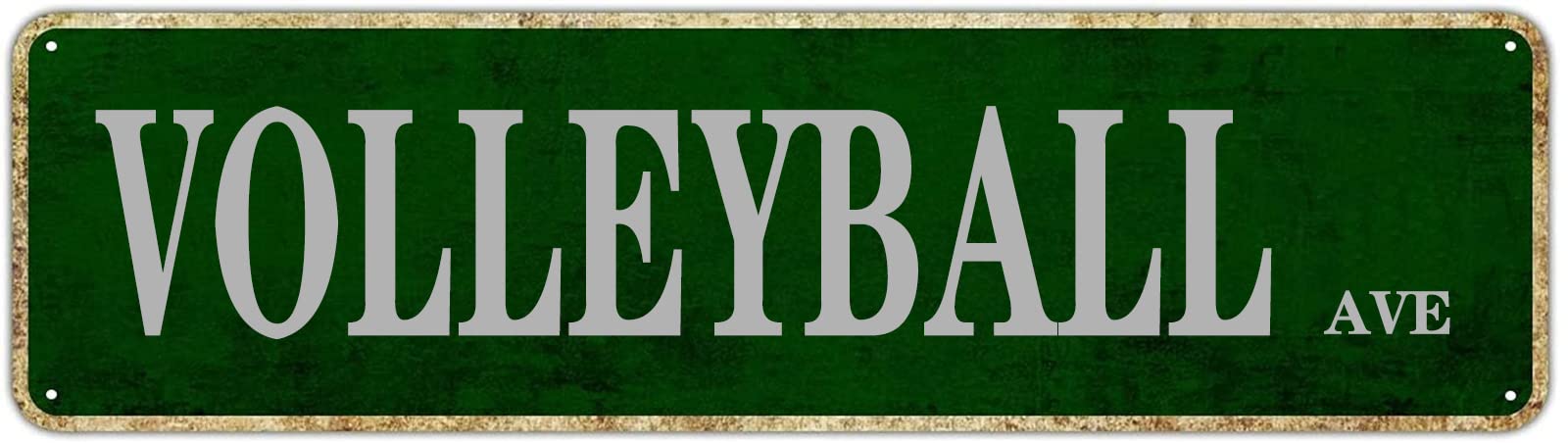 Volleyball Ave Retro Tin Signs Plaque Aluminum Metal Sign Quotes Home Kitchen Garden Wall Funny Pub Club Decoration 4x16 Inch