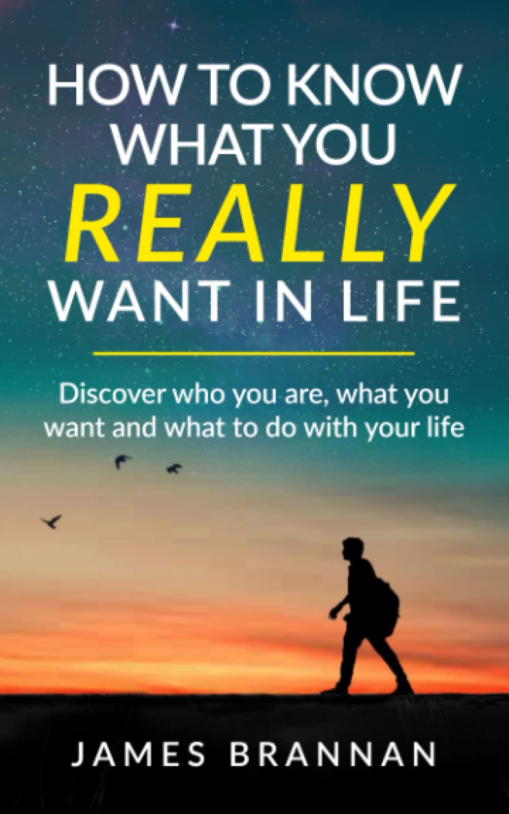 How To Know What You Really Want In Life: Discover who you are, what you want and what to do with your life