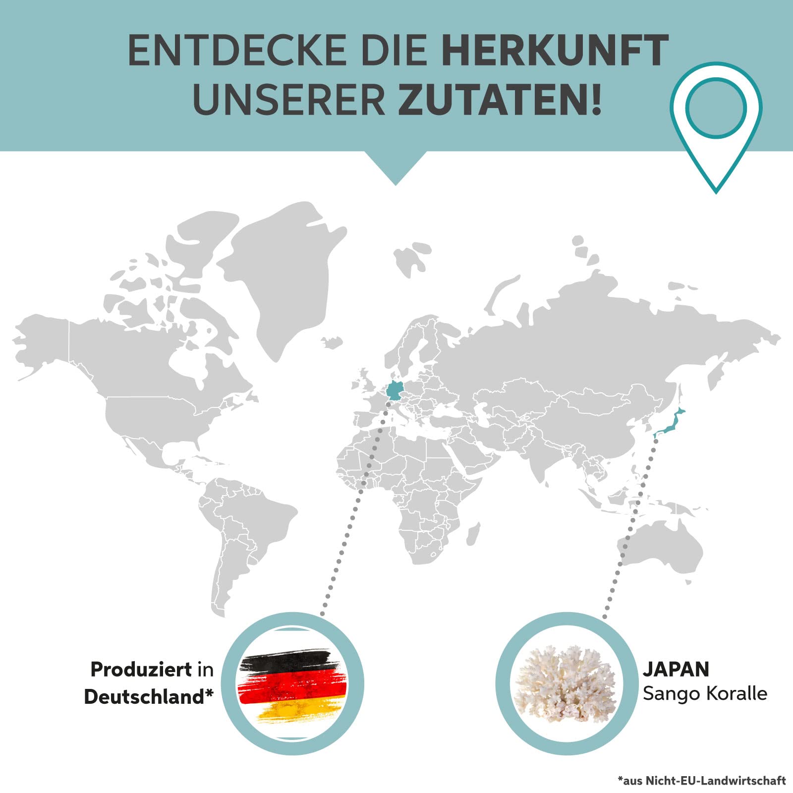 Sango Meereskoralle Pulver 1kg | Hochdosiert mit 34% Calzium | Premium Meeres Korallenpulver | Natürliche Quelle für Kalzium und Magnesium | Das Original aus Japan Okinawa