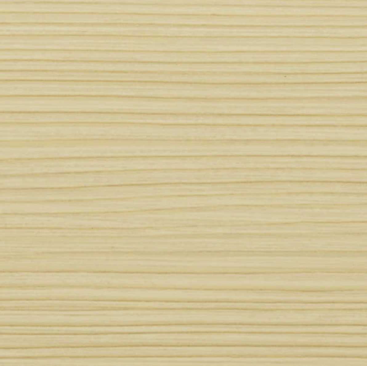 Bandejas Gold Camarera 1.72 - Caja de 12 Unidades (Alerce Blanco)