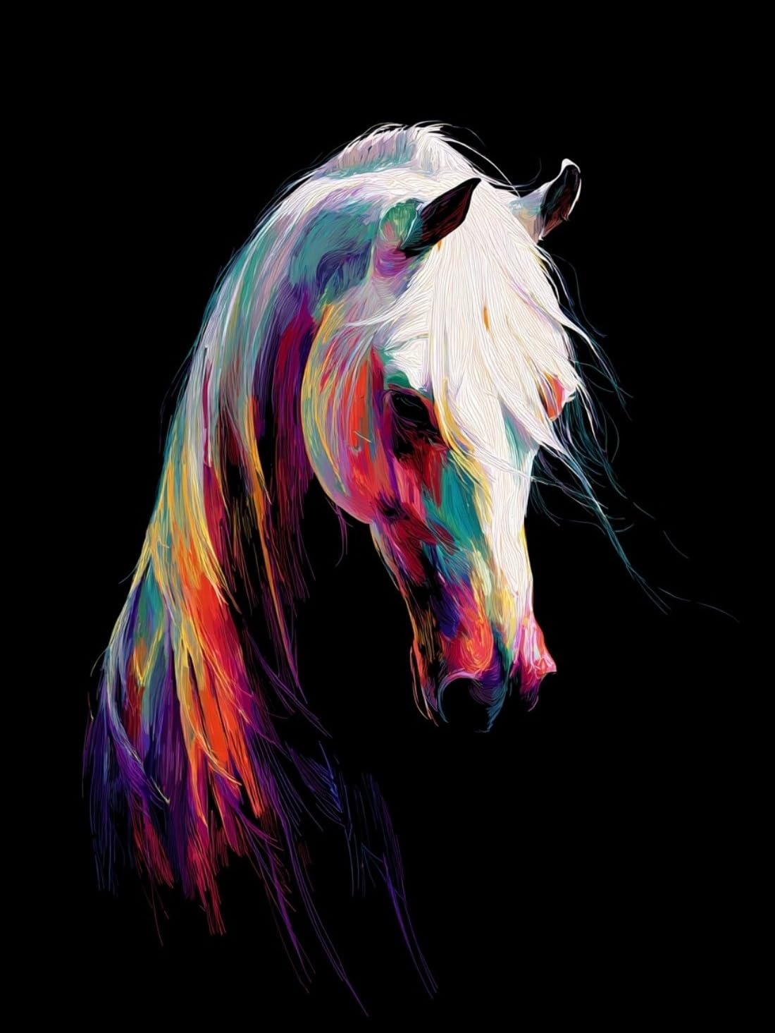 WANGWANGMIAO Paint by Numbers for Adult (Rainbow-maned White Horse) DIY Canvas Oil Painting Kit for Kid with Paintbrushes Acrylic Pigment Drawing Paintwork Gifts 16x20inch，with Frame