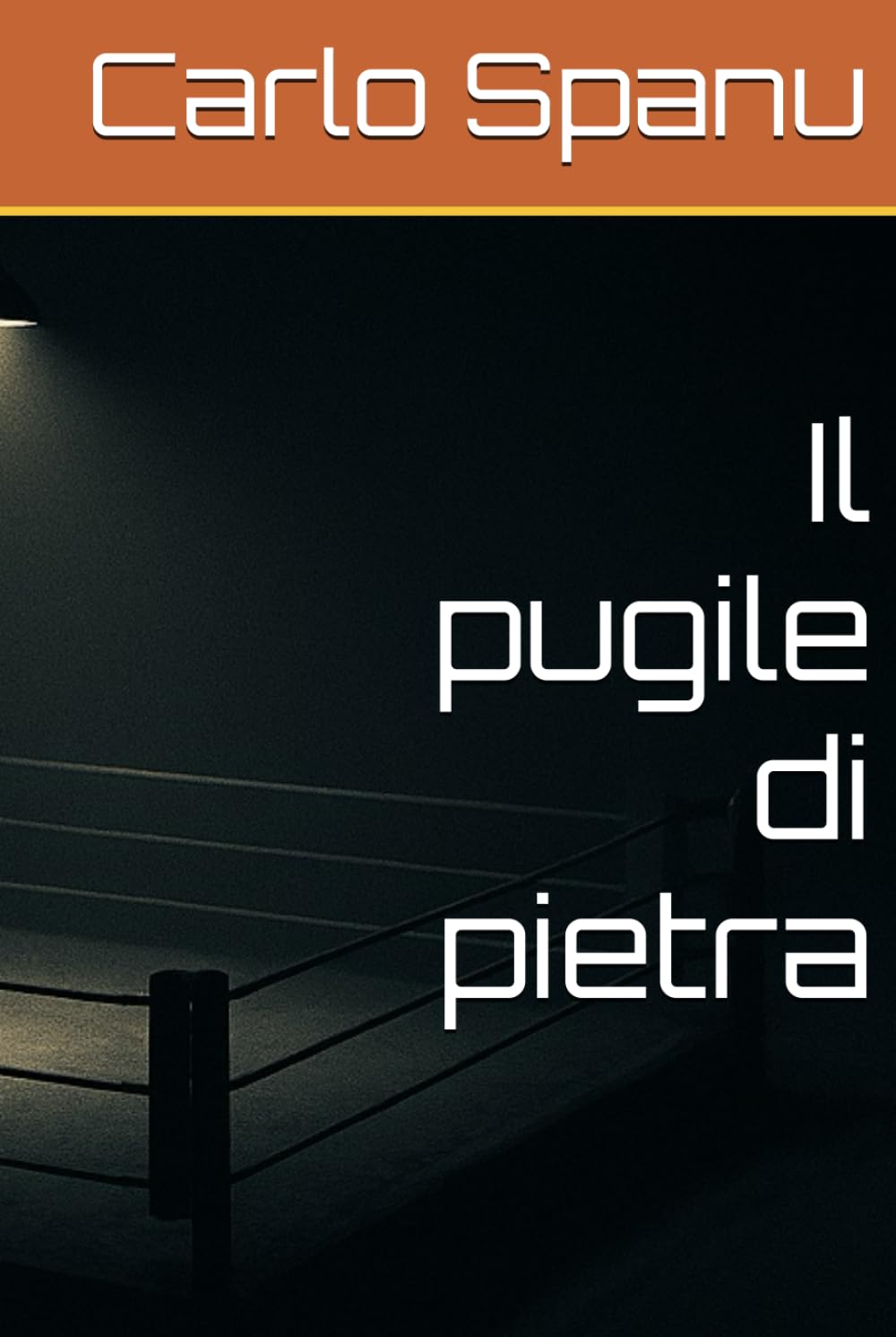 Il pugile di pietra