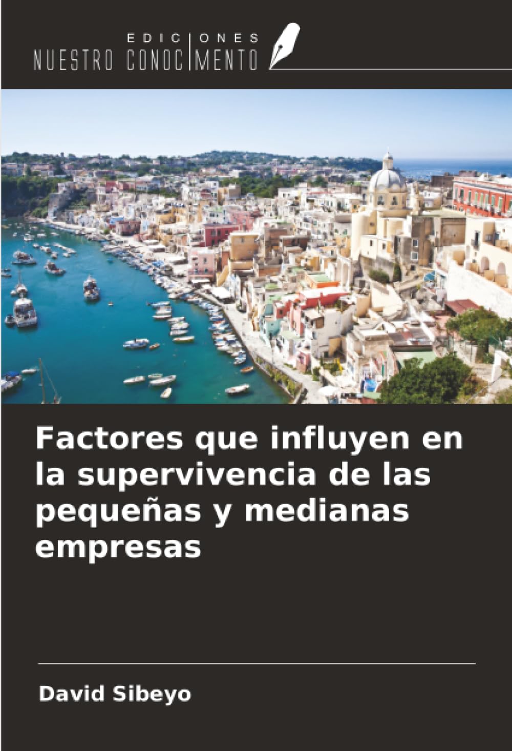 Factores que influyen en la supervivencia de las pequeñas y medianas empresas