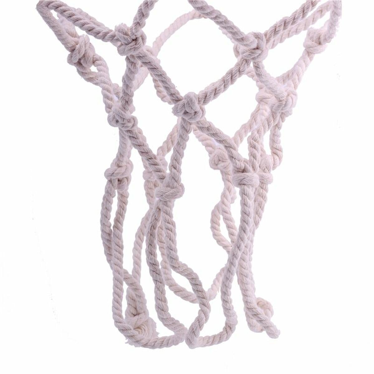 El León de OroEl León de Oro Basketball Net, Estándar