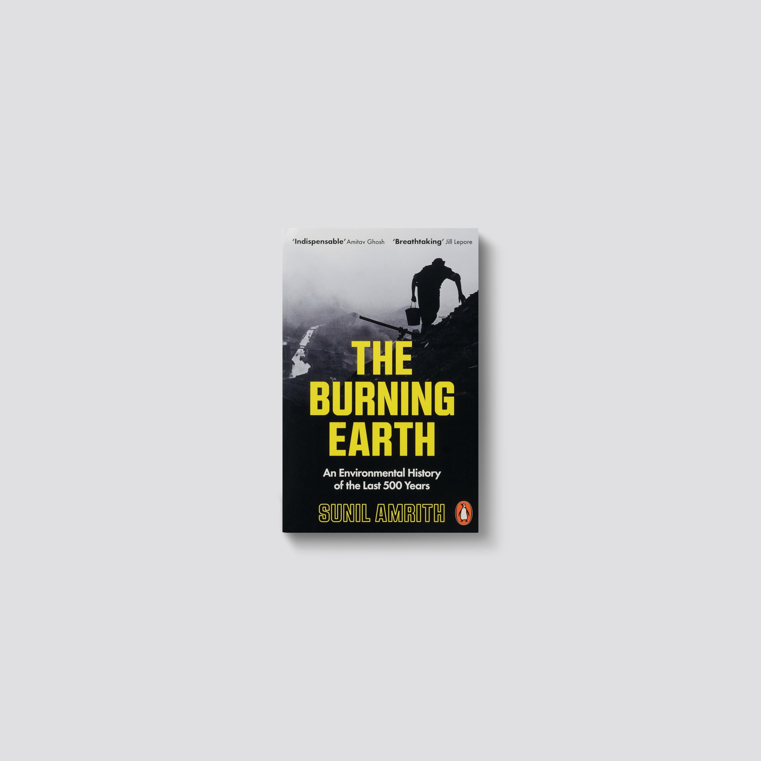 The Burning Earth: An Environmental History of the Last 500 Years