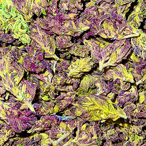 Sheeeshhh de Lil Sticky en Amazon Music Unlimited