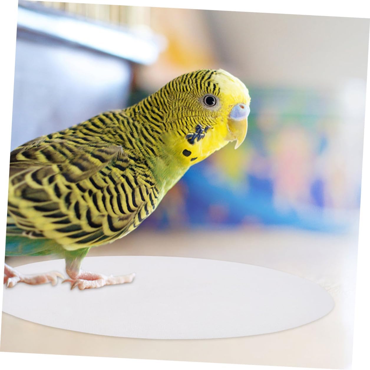 VALICLUD 100pcs Disposable Bird Cage Liner Papers Thick Absorbent Cage Pads for 29.5cm Birdcage Bottom Suitable for Parakeets Cockatiels and Parrots