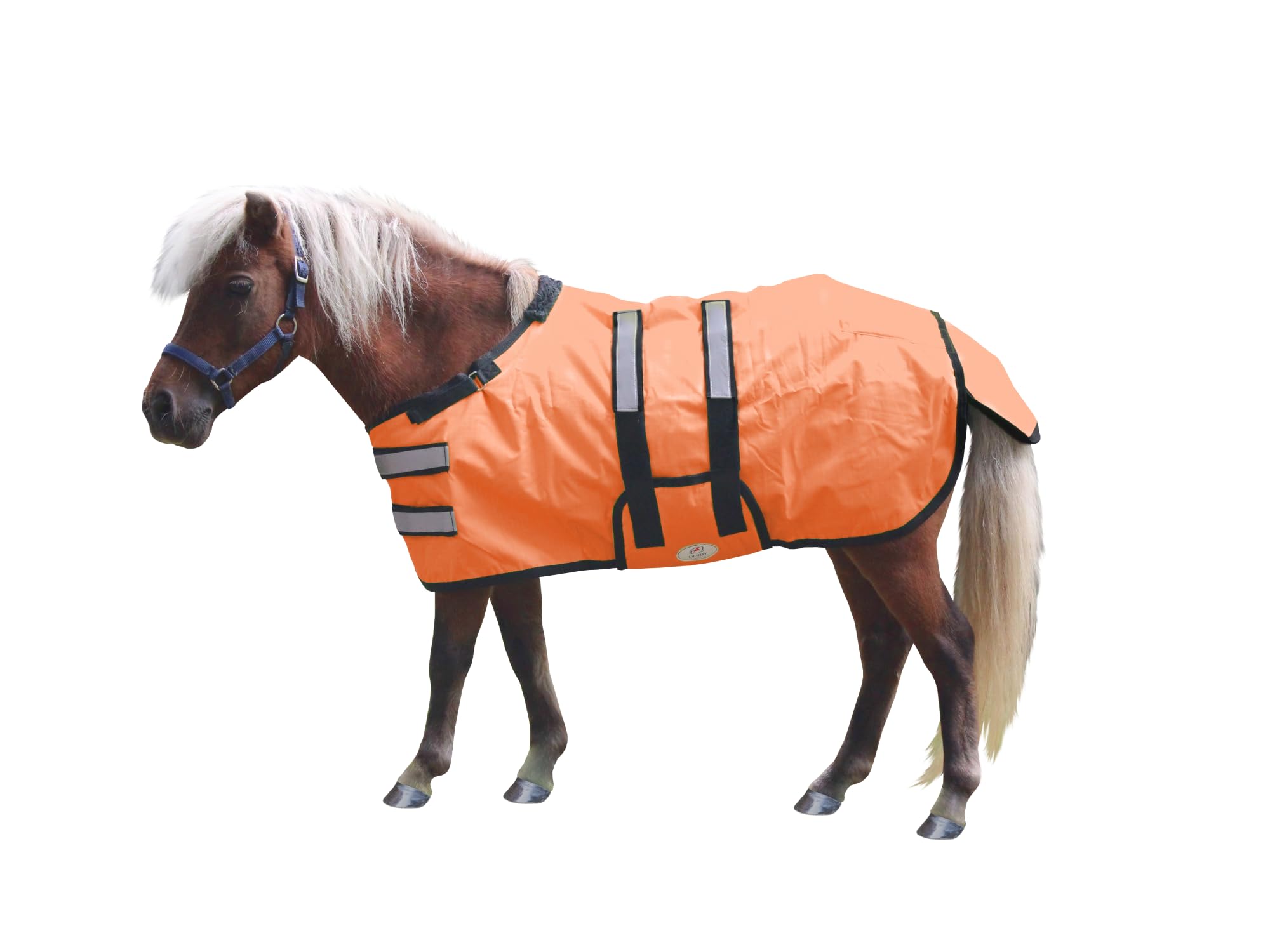 Derby Originals Mini Horse & Foal Winter Turnout Blanket – Reflective, No-Hardware Design, 600D Waterproof Outer, 150g Insulation, 170T Lining, Adjustable Fit, 1-Year Warranty (Black, Small): Orange Large(42-48")