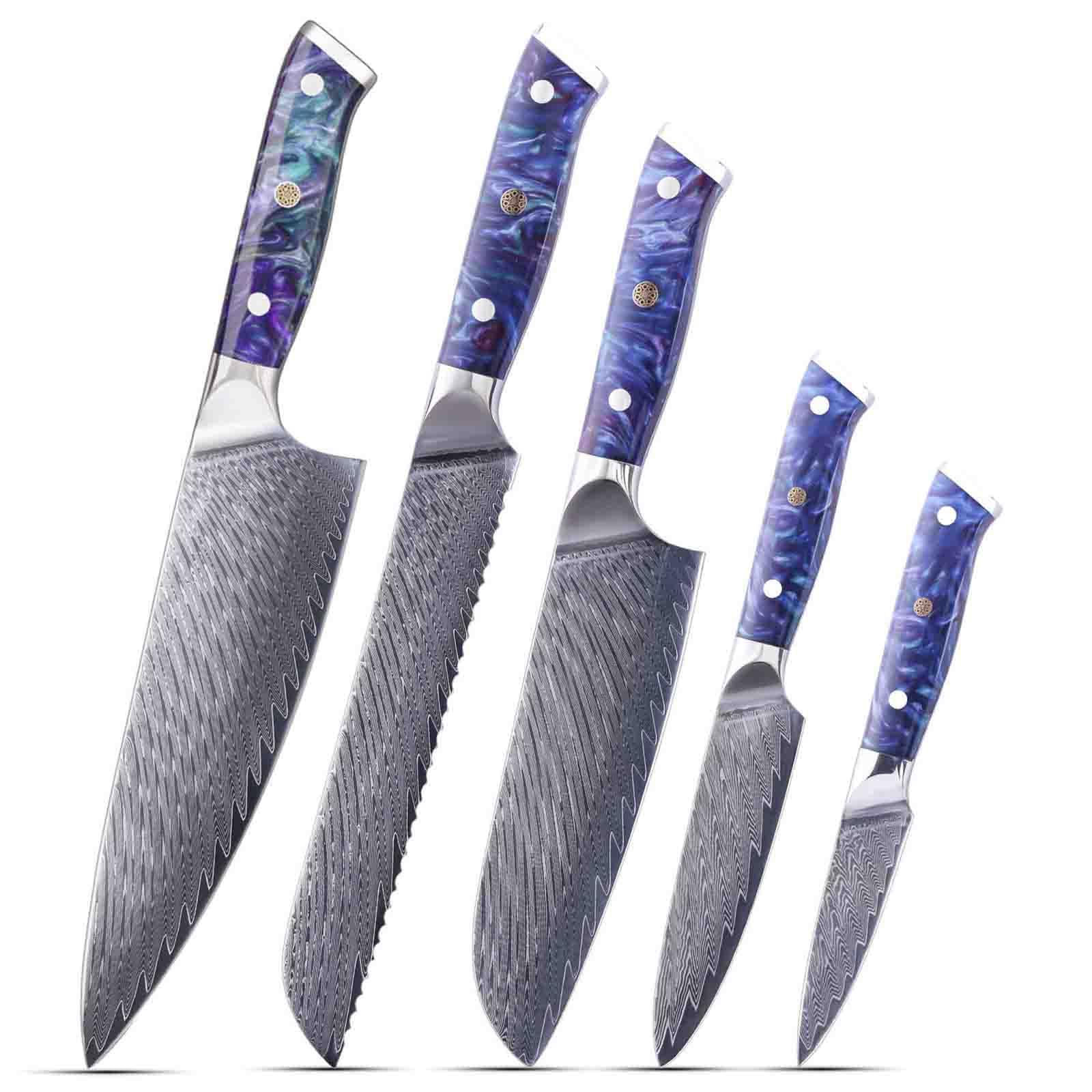 Damascus Steel Knife 5 Piece Knife Set Kitchen Accessories Blade Pattern Design German Engineered Knife 67 Layers Full