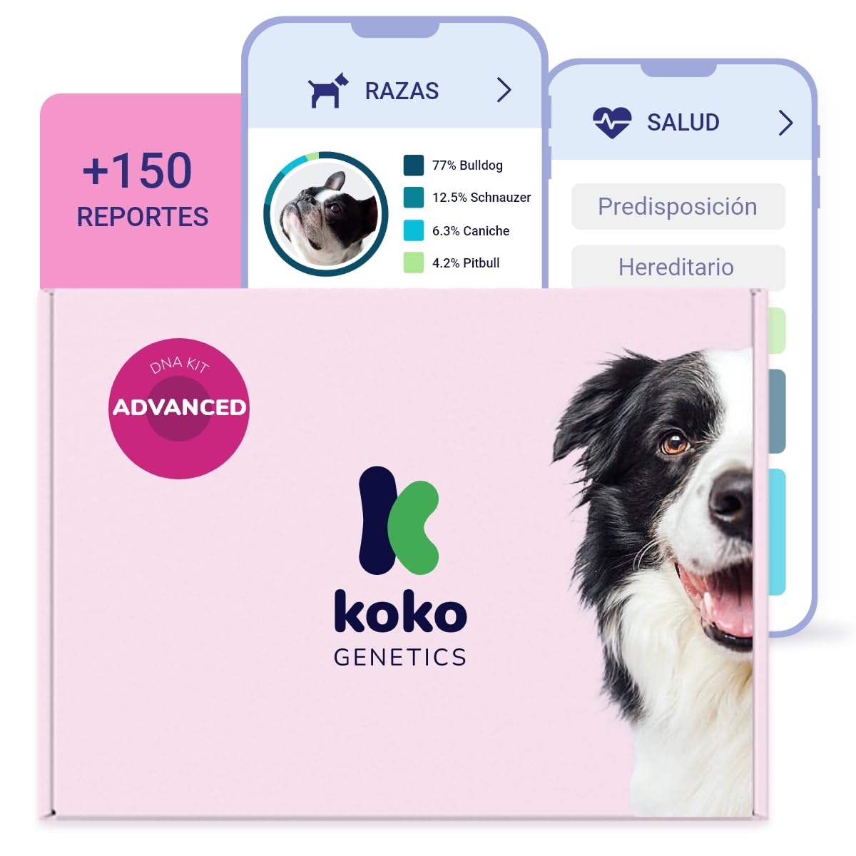 Koko Test ADN para Perros Advanced - (+150 Reportes de Razas, Salud y Rasgos) - Actualizaciones sin Coste