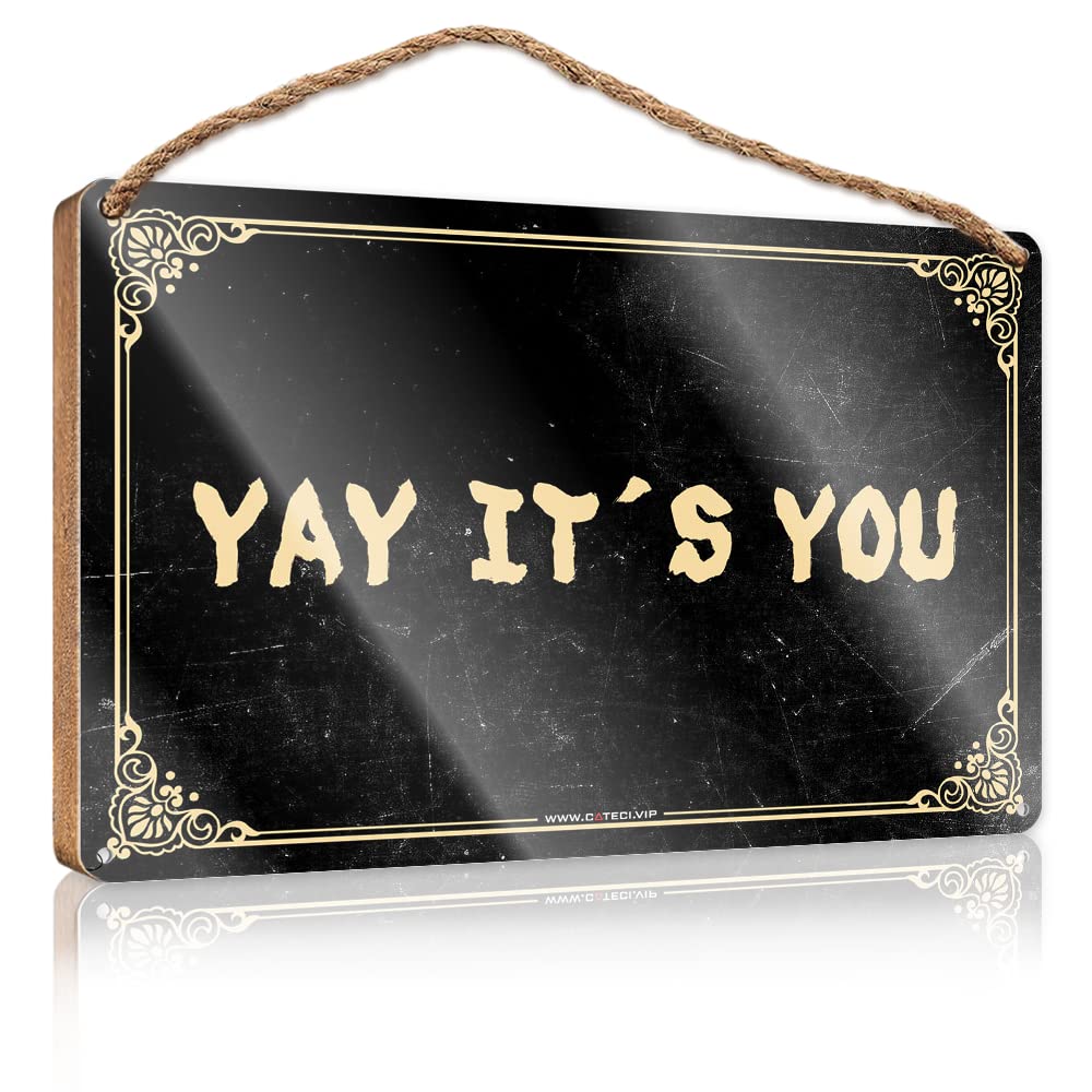 DTHA Front Porch Signs Yay It'S You Wooden Sign Bathroom Sign Funny Funny Door Signs For Office(20X30CM)