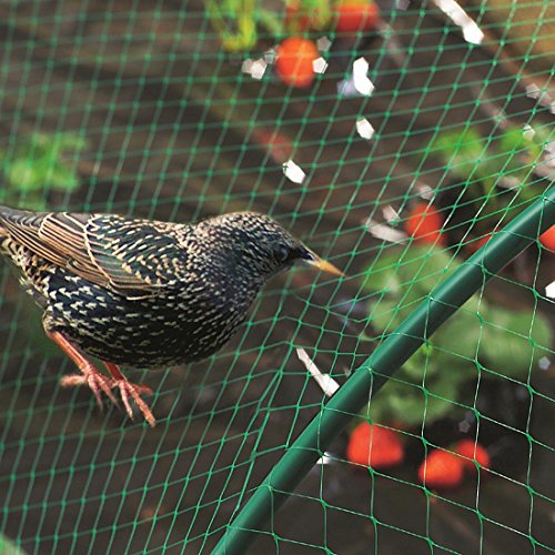 Garden Netting Anti Bird Protection Net 4M X 10M / 13Ft X 33Ft Green Garden Plant Netting Fruit Trees Netting With 20 Tacks And 50 Ties #TOP6