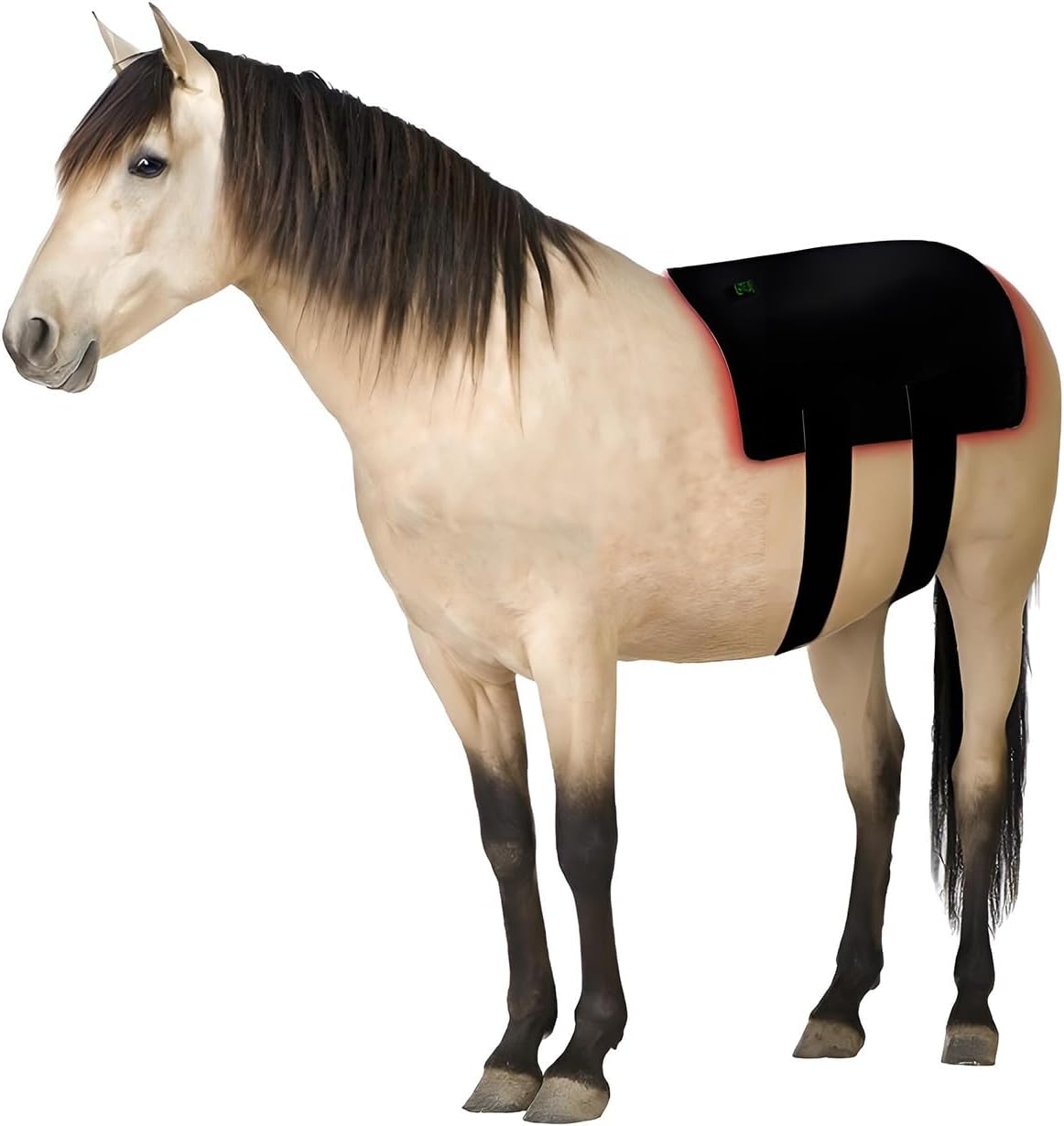 27x35-Inch Cordless Near Infrared Light Therapy Pad for Horses – Equine Red Light Therapy for Back, Hindquarters, and Abdomen with Adjustable Straps and Auto Shut-Off Timer