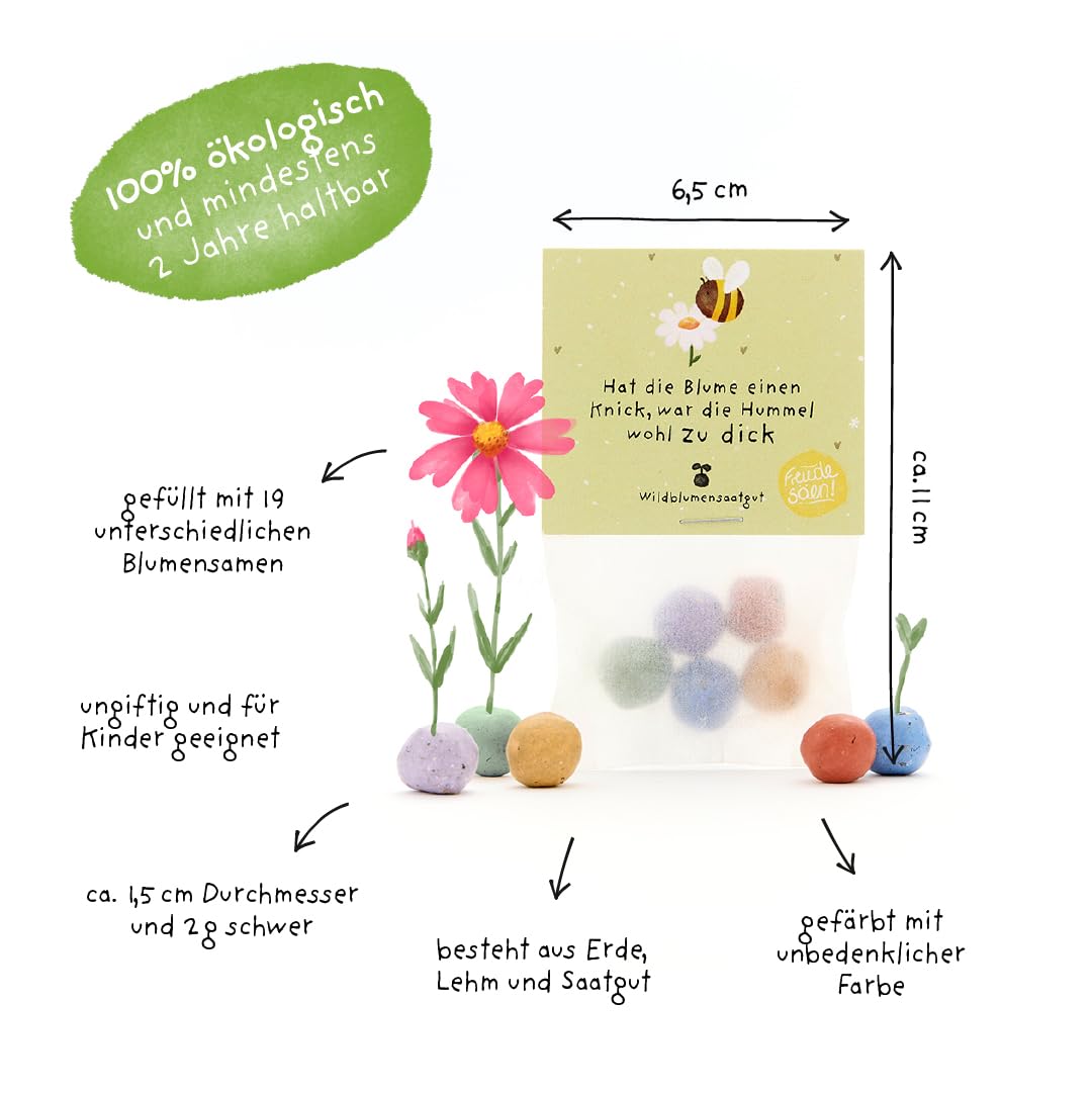 Bombe colorate con semi di fiori selvatici - 5 biglie di fiori colorate - ecologico regalo per giardinieri