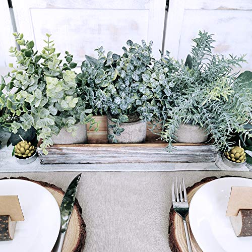 image for Winlyn Set of 3 Mini Potted Artificial Eucalyptus Plants Faux Rosemary