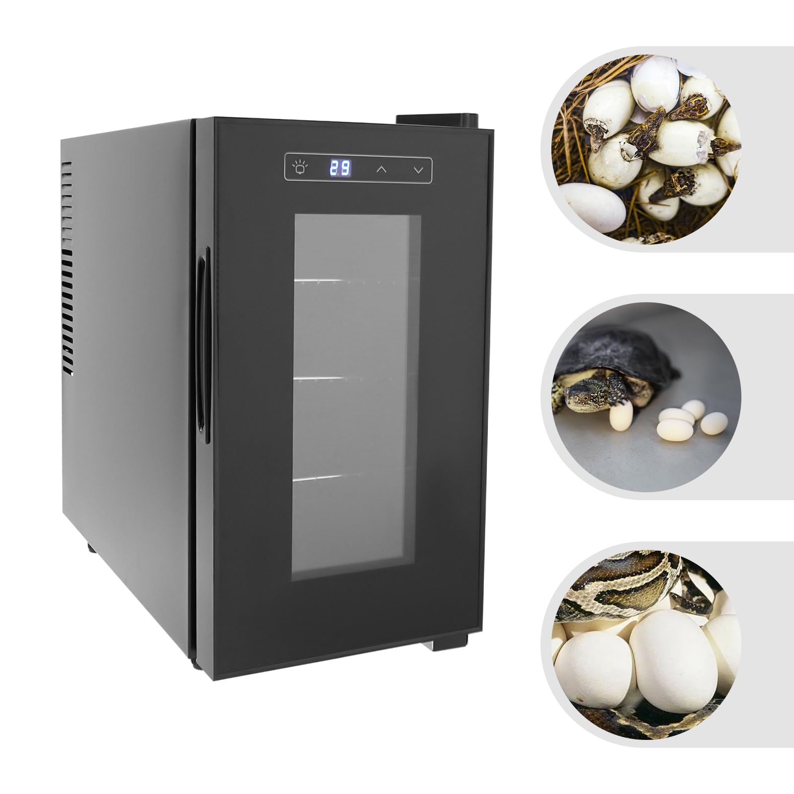 Incubadora de huevos de reptiles Pequeño laboratorio digital Incubadora | Para tortuga, lagarto, gecko, serpiente, reptiles, eclosionar con resistente a los rayos UV 23L