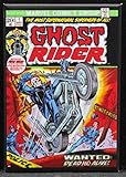 Ghost Rider #1 Comic Book Refrigerator Magnet.
