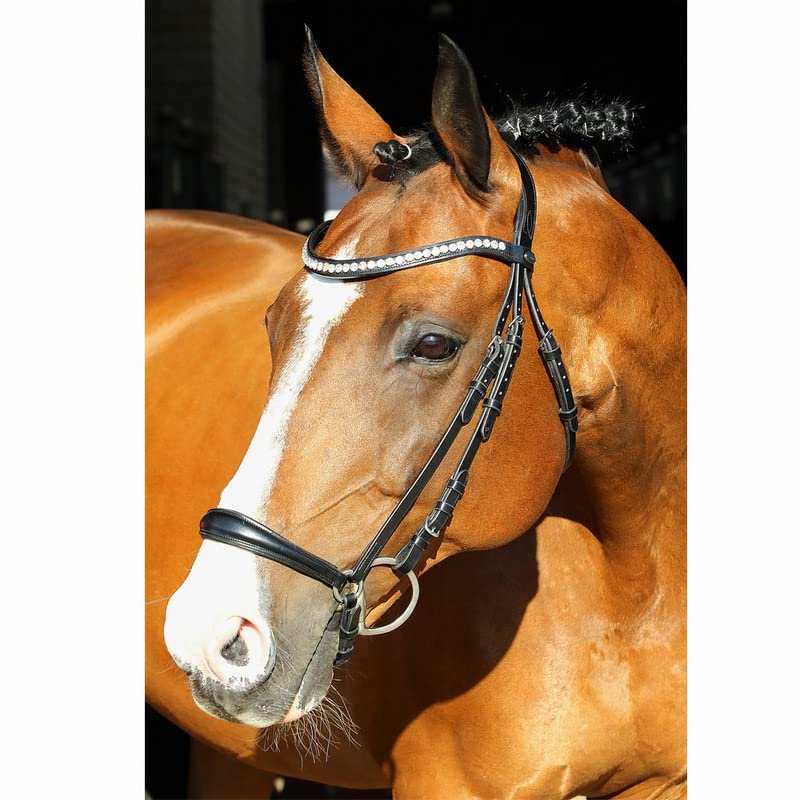 Euroriding William Hunter Equestrian La Rochelle Hannov - Brida para caballo
