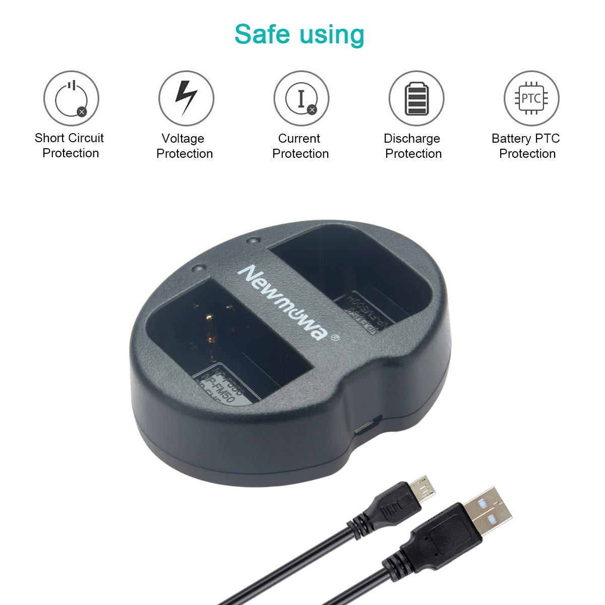 Batterie NP-F550 Doppie Con Caricatore USB - Compatibili Sony CCD-SC55 TR516 TR716
