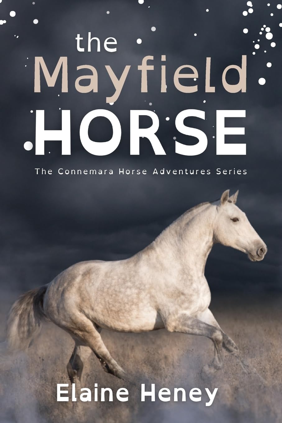 The Mayfield Horse - Dyslexia Friendly: 3 (Connemara Horse Adventure)